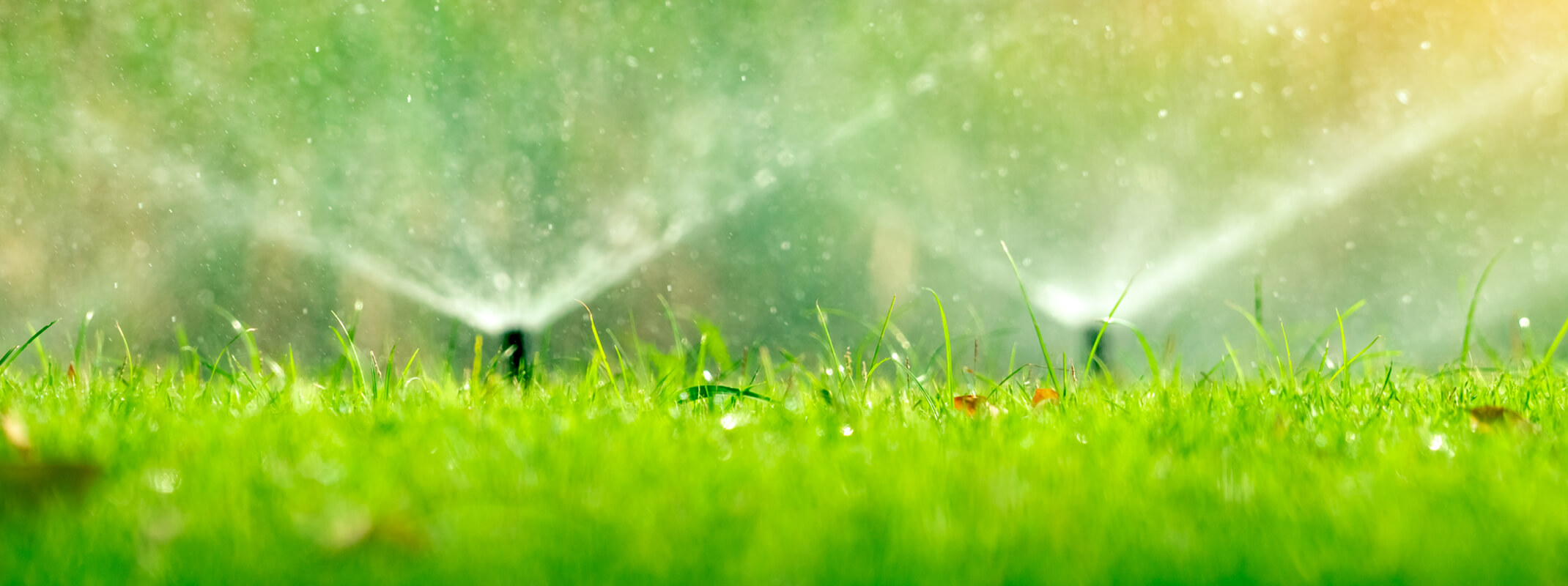 Eye level view of pop up sprinklers in the yard spraying water on the grass