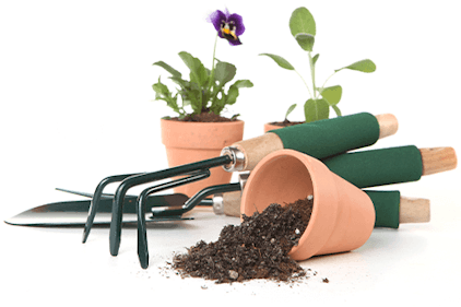 Flower pots and garden tools