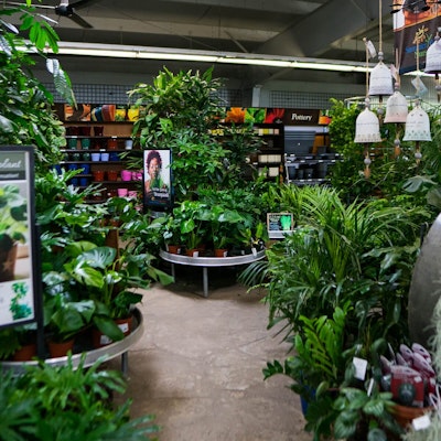 Plant selection