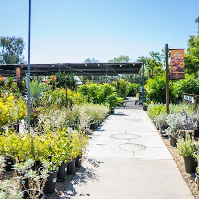 Plant walkway