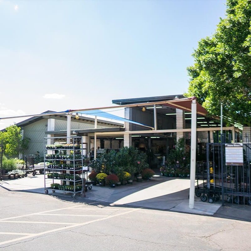 Mesa Store Arizona SummerWinds Nursery