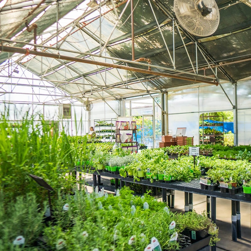 Mesa Store Arizona SummerWinds Nursery