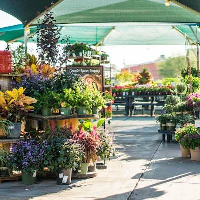 Store flower selection