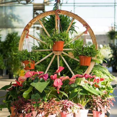 Flower wheel