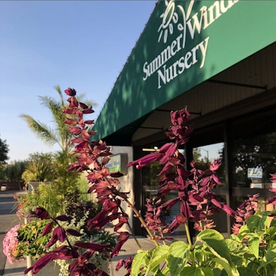 Storefront with flowers