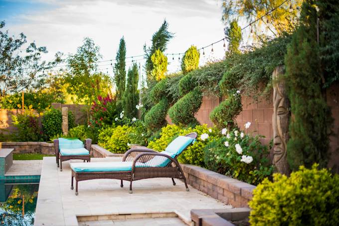 Creating Garden Microclimates | Arizona SummerWinds Nursery