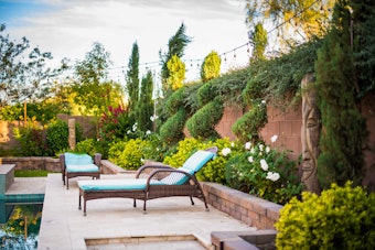 Lush Arizona backyard patio by the pool.