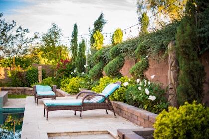 inspirational lush arizona patio with pool, plants and loungers