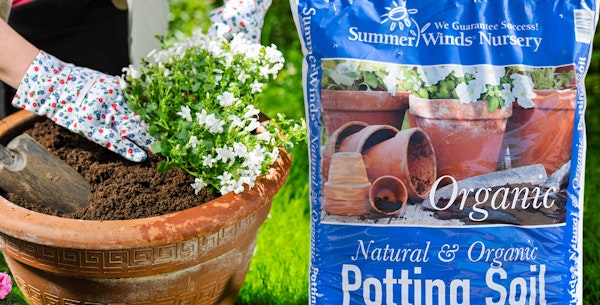 Gardener planting up a container with white flowers and next to it is a bag of SummerWinds Organic Potting Soil
