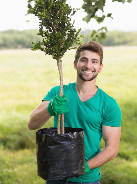 Man holding young tree that is ready to plant into ground