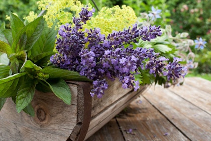 A round-bottom wooden basket on a wood table outside - filled with fresh picked herbs