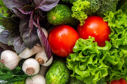 A variety of vegetables and herbs and tomatoes