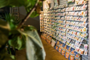 Wall of seed packets with out of focus fig tree houseplant on the left