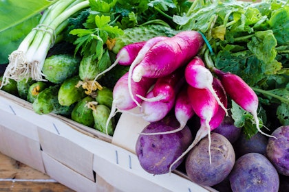 A basket filled with a variety of vegetables and herbs