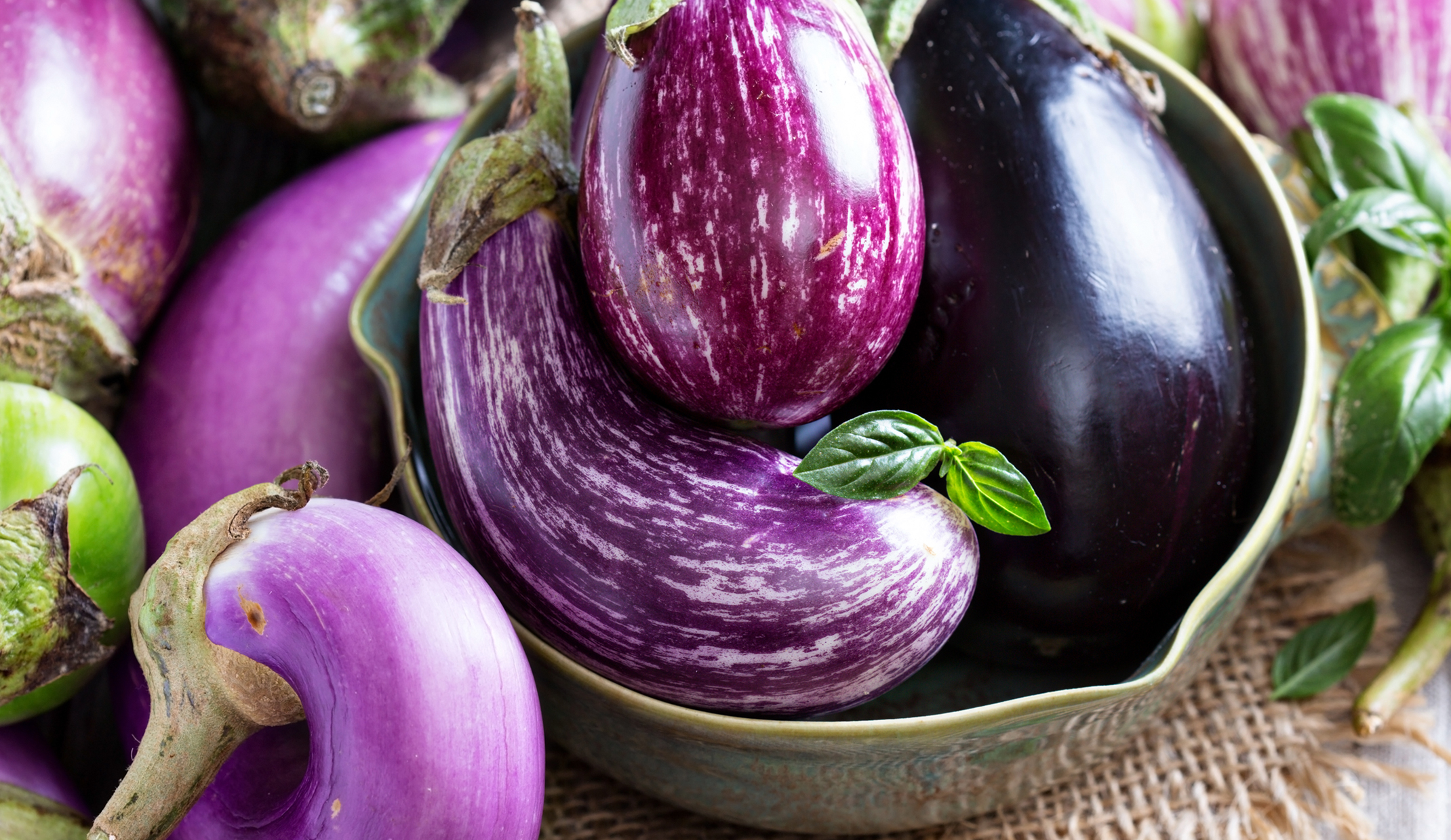 Fresh eggplant of multiple varieties with fresh herbs