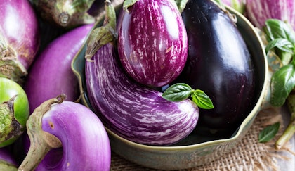 Fresh eggplant of multiple varieties with fresh herbs