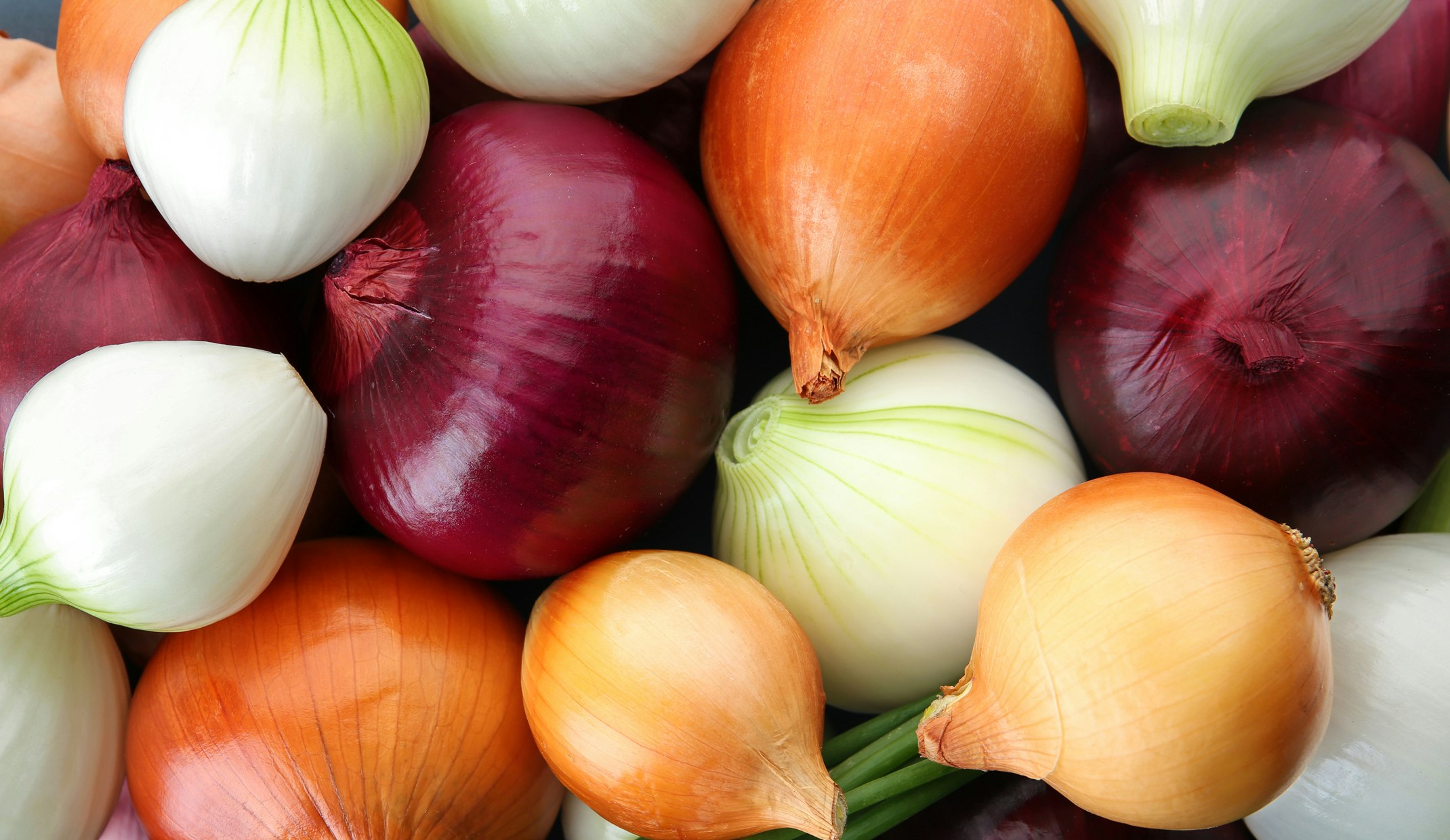 Edible Plants SummerWinds California