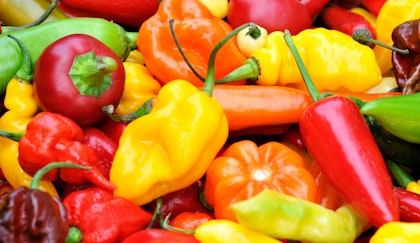 Various varieties of peppers, including jalapenos, sweet, bell, habanero, all piled together