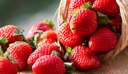 Fresh whole strawberries tumbling out of a wicker basket