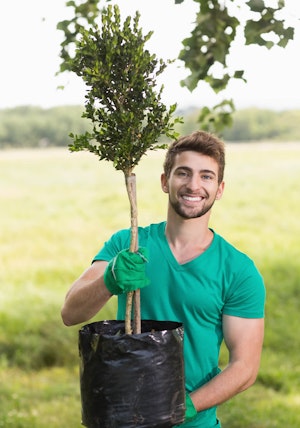 young man carrying a tree with roots wrapped in plastic pot