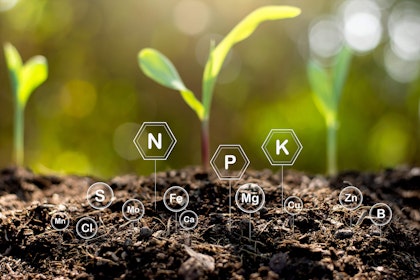 Plants starts in soil with plant nutrient symbols