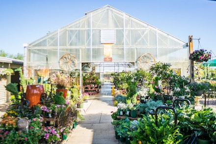 SummerWinds Nursery Glendale Arizona Garden Center Entrance to greenhouse at SummerWinds Nursery in Glendale Arizona surrounded by plants and pottery accents outside