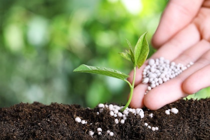 Plants start in soil outdoors with person adding fertilizers to the soil