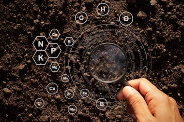 Magnifying glass being held by a male on top of the soil with soil nutrient symbols and circles scattered throughout the soil to represent soil health and nutrients
