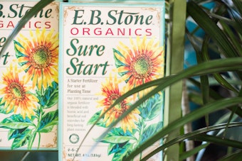 EB Stone Organics Sure Start Fertilizers near palm houseplant