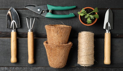 Gardening tools layed out on a wooden table