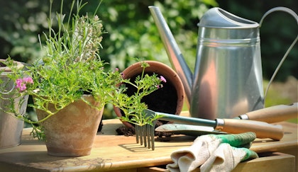 Garden accessories such as a small hand rake, pot, watering can and gloves on table