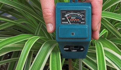 Moisture meter stuck inside of a spider houseplant