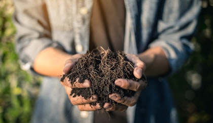 Man holding soil in his hands