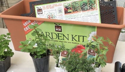 Earthbox garden kit