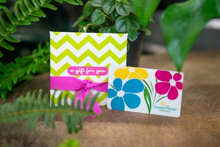 SummerWinds Nursery Gift Card & Envelope surrounded by houseplants