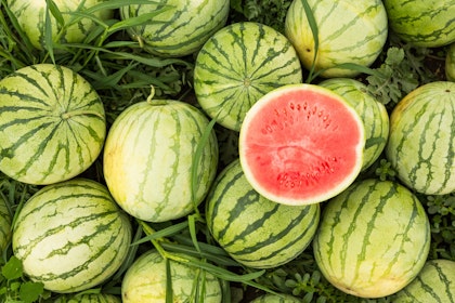 A bunch of watermellons growing with one half cut open to show the red inside