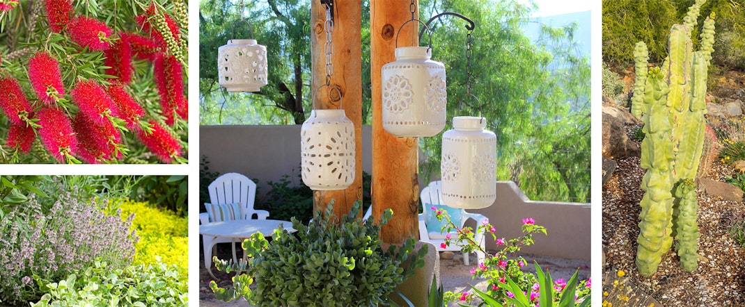 Collage of 4 images: bottle bush plant, herbs in garden, patio with lanterns, plants and seating, and a cactus in garden landscape