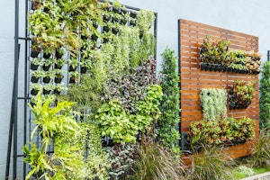 Urban Container Gardening - Vertical Gardens with assorted plants on metal plant wall structure and wood and metal plant and pot holder free-standing wall structure