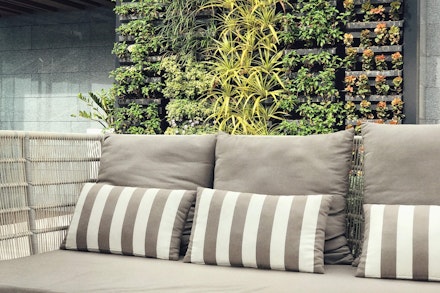 Gray and white seating with vertical garden wall behind it with assorted plants - near concrete wall