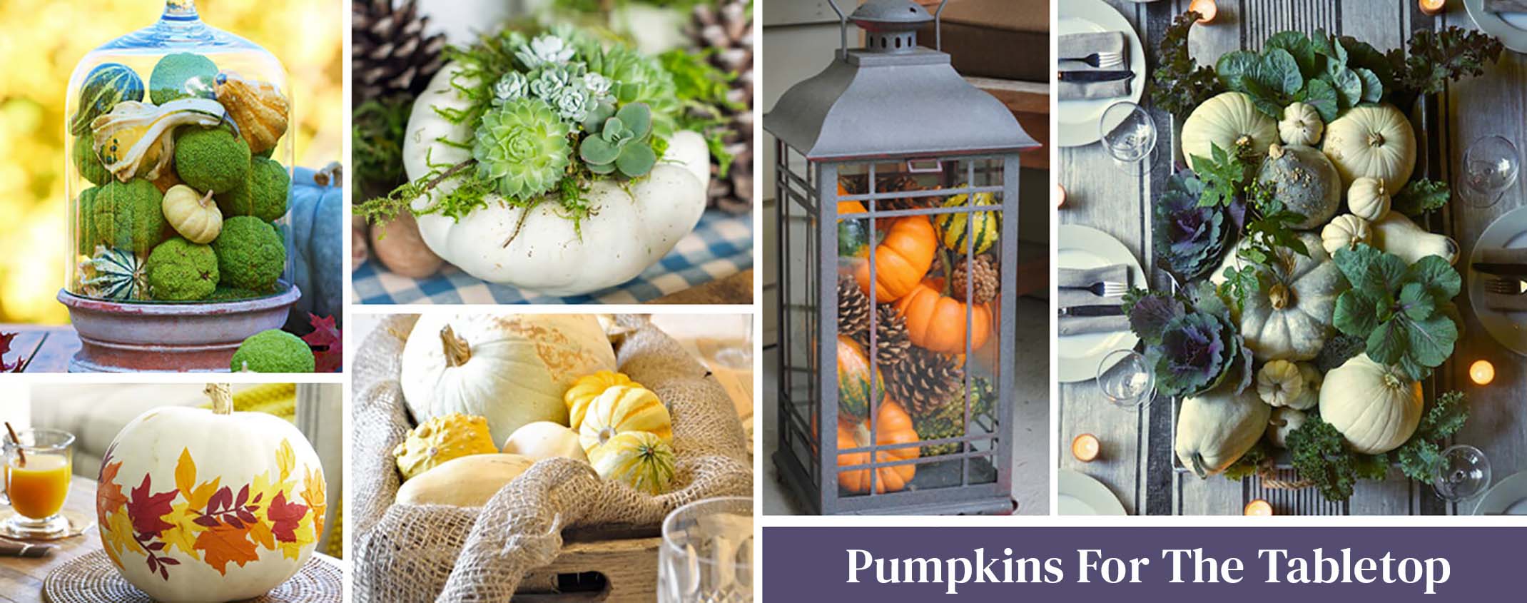 Pumpkin ideas for your table top. This shows multiple images of pumpkins designed for your table from stacked pumpkins in vase, leaf lined pumpkin, to a wreath made with pumpkins.