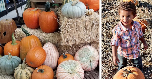 An image of an assortment of pumpkins surrounding a bale of hay next to a child in a pumpkin patch