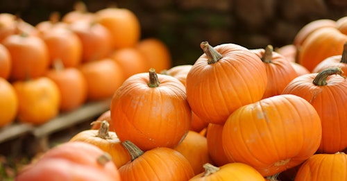 An assortment of orange pumpkins