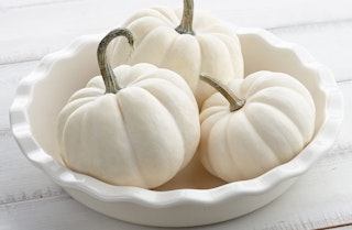 Three white miniature pumpkins in a ceramic white pie dish on a marble tabletop
