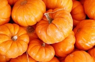 A bunch of orange minature pumpkins stacked on top of each other