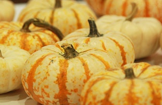 Little tiger pumkins on a table