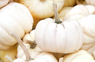 A bunch of white casperita pumpkins stacked on top of each other