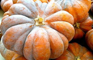 A few fairytale pumkins stacked on one another