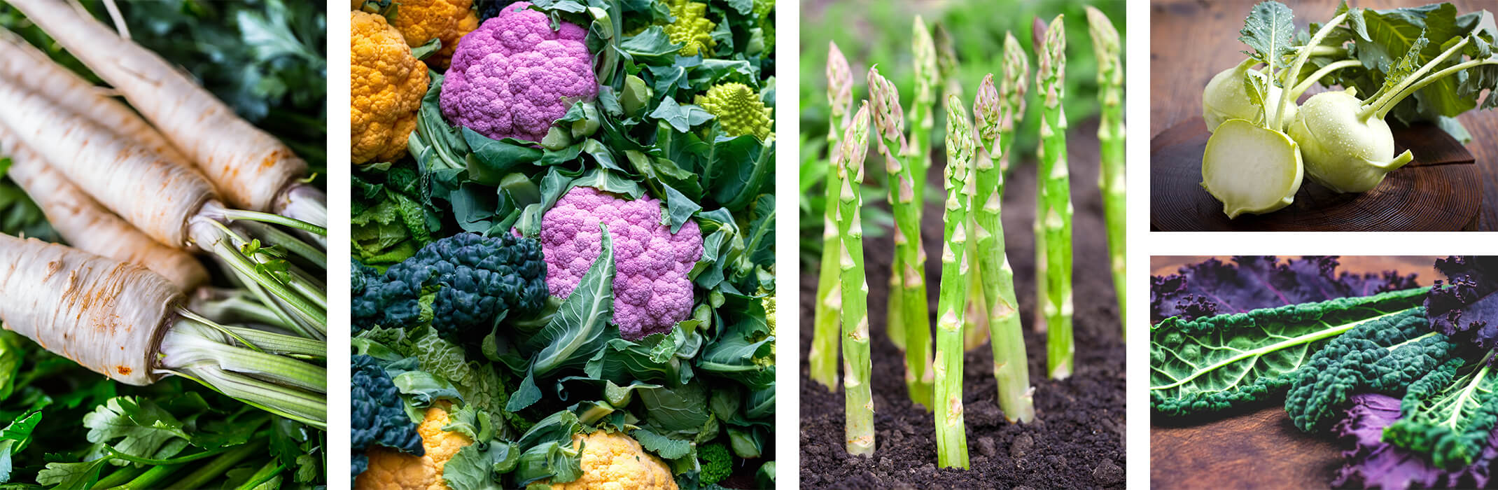 5 images: parsnips, multicolor cauliflower varieties, asparagus growing in the ground, kohlrabi and green and purple kale
