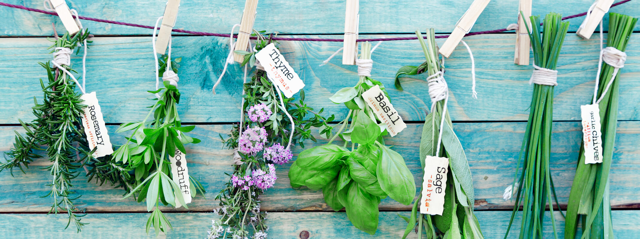 Assorted herbs Hanging in front of a blue wooden wall with identification tags