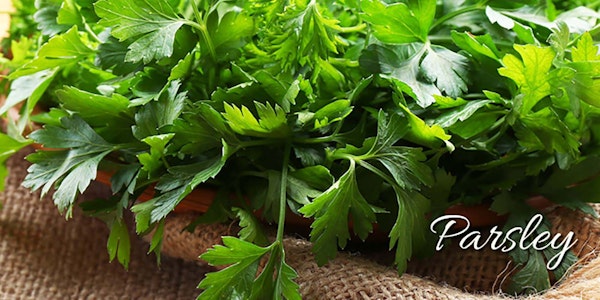 A bunch of fresh parsley sitting on a burlap cloth with the word "parsley" on the image